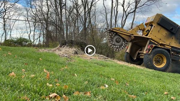 Moler Stump Grinding and Landscaping