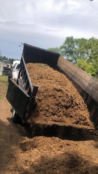 Moler Stump Grinding and Landscaping