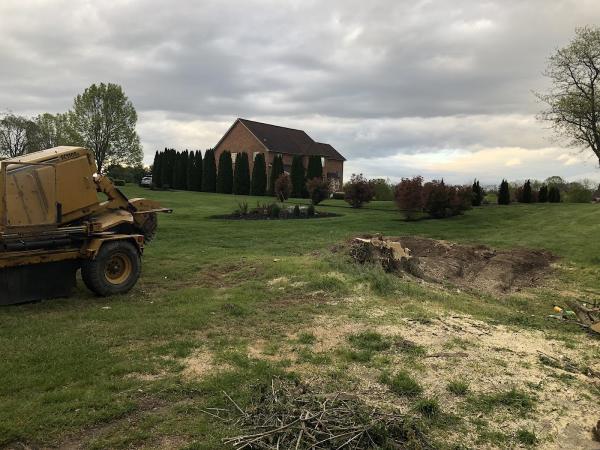 Moler Stump Grinding and Landscaping