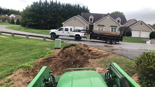 Moler Stump Grinding and Landscaping