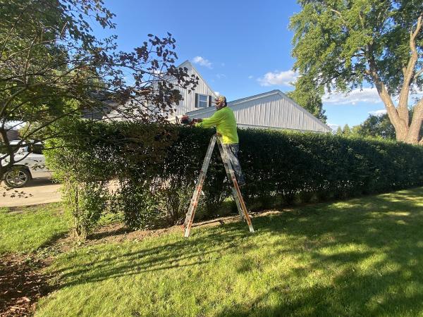 Kelvin's Landscaping LLC