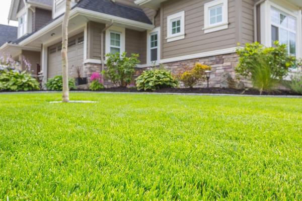 No'squito Pest Solutions