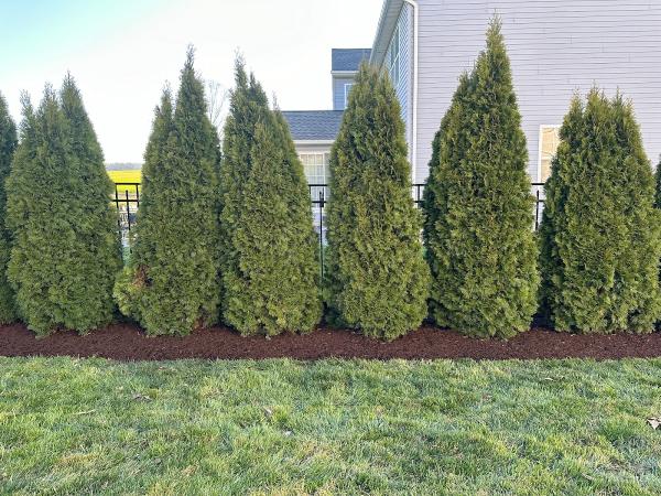 Environmental Concepts Landscaping