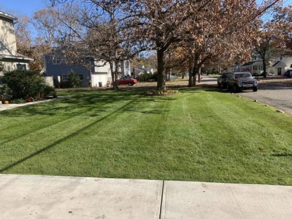 Aces Pro Lawn Care & Masonry Inc.