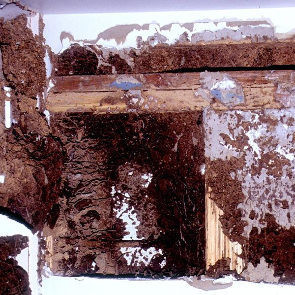 Hi Tech Termite Control