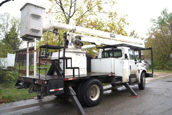 Tree Service Denver