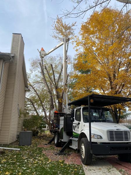 Higher Ground Tree Care