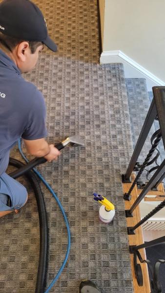 Beto's Carpet Cleaning
