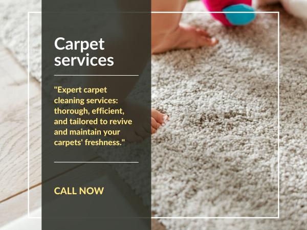 Beto's Carpet Cleaning