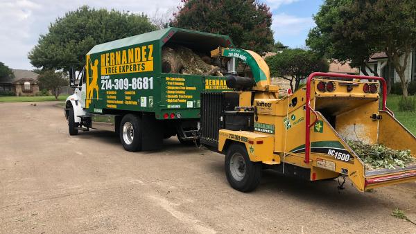 Hernandez Tree Experts