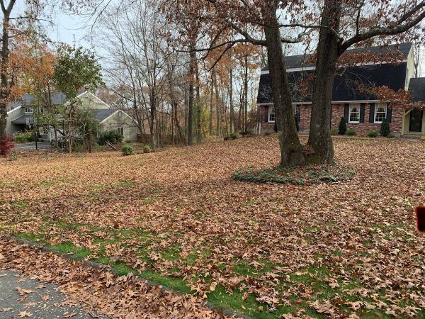 Wildwood Lawn Care