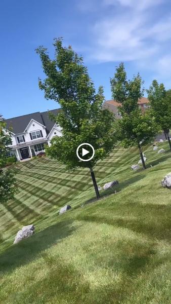 Grazingcow Professional Lawn Mowing