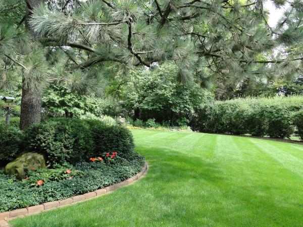 American Landscape