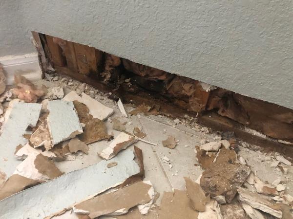 Budget House Repair
