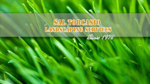 Sal Torcasio Landscaping