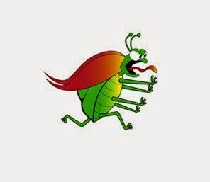 Ida Bug Guy LLC