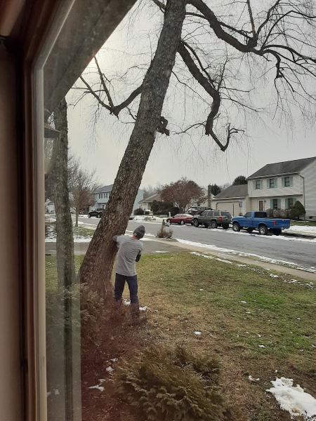 Joyce Tree Service