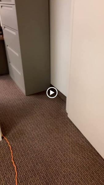 Olympus Carpet & Upholstery