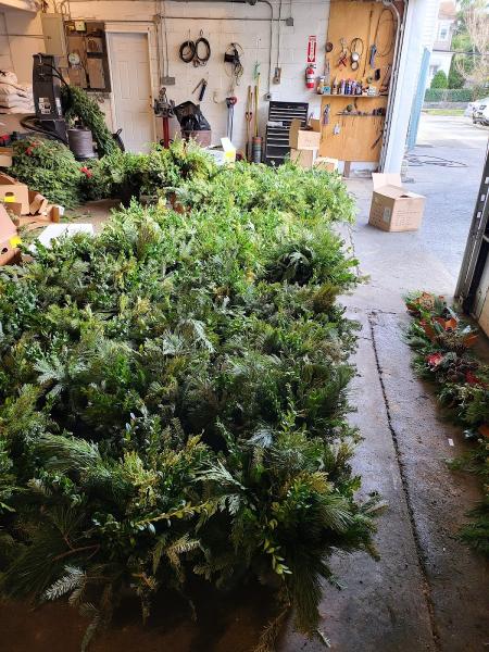 Mario Pansarella and Sons Landscaping