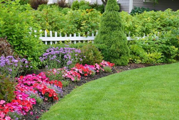 Mario Pansarella and Sons Landscaping