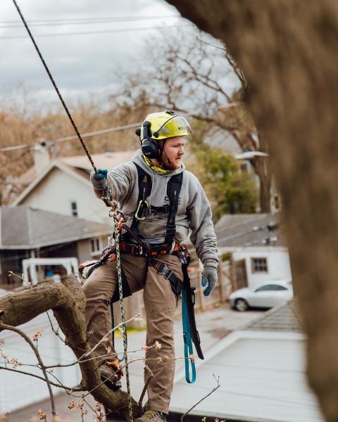 Central Ohio Tree Care