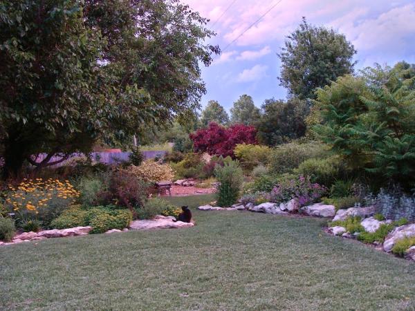 Low Maintenance Landscape