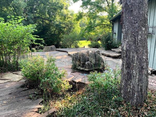 Low Maintenance Landscape