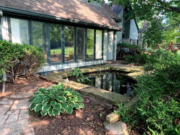 Low Maintenance Landscape
