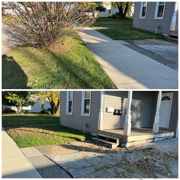 Reyes Landscaping & Lawn Care Service LLC / Junk Removal