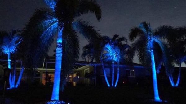 Nauti Electric Inc.