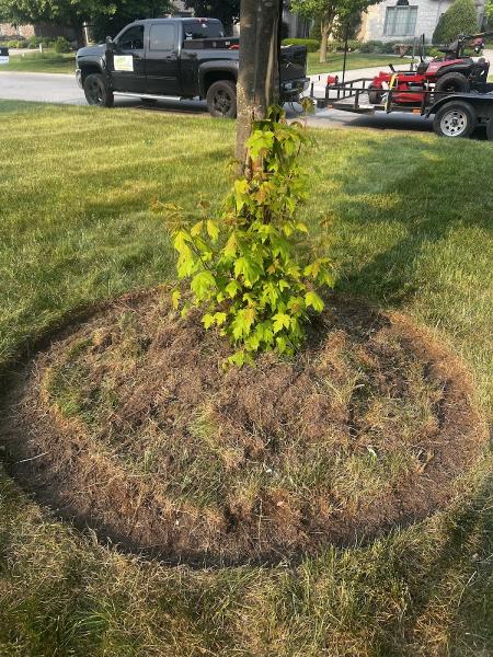 Tyler's Lawn Care & Power Washing