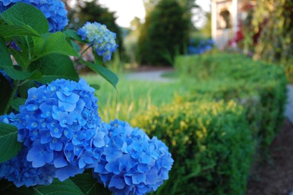 Yard Boss Landscape Design