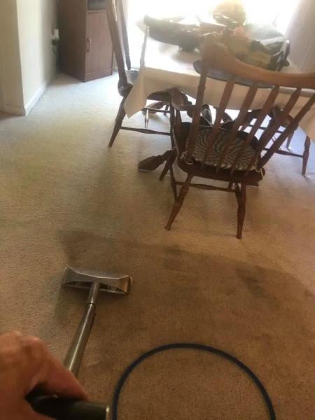Magnolia Carpet Cleaning
