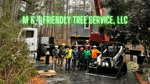 M & T Friendly Tree Service LLC
