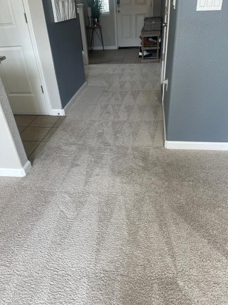 VIP Cleaning Service