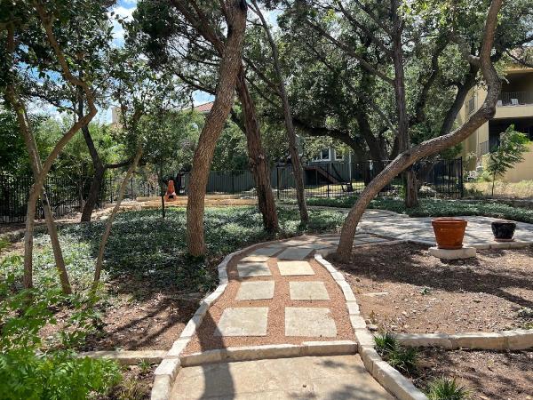 Lakeway Tree Experts