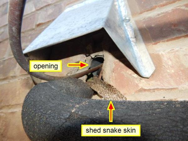 Intellispect Property Inspection Group