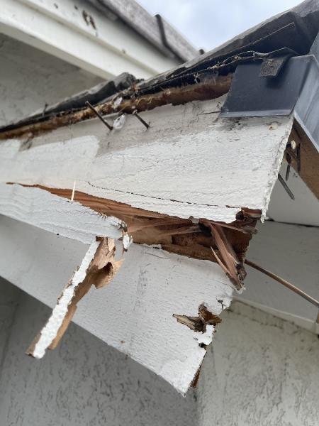 Ultimate Termite Control