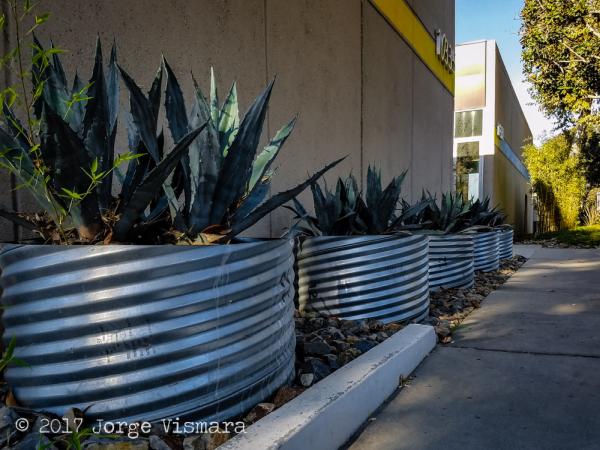 L R M Landscape Architecture