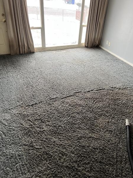 Kyles Carpet Cleaning