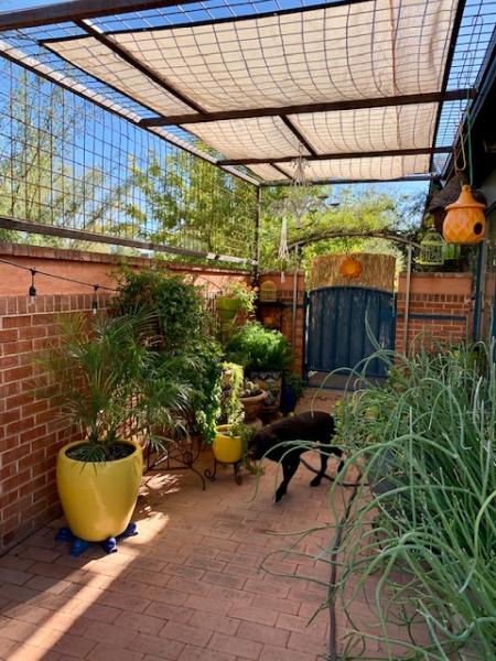 Green Thumb Tree Service and Landscaping