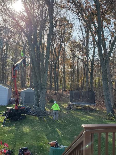 Franco's Tree Service