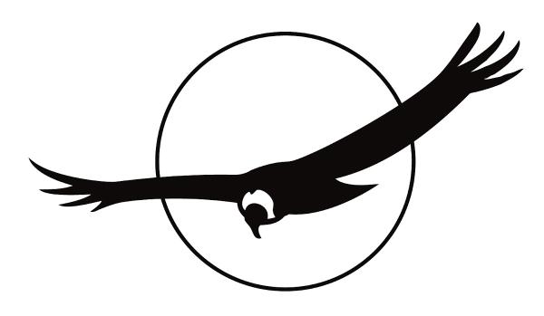 Condor Painting