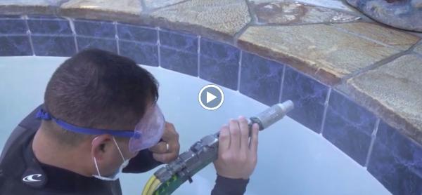 West Coast Pool Tile Cleaning