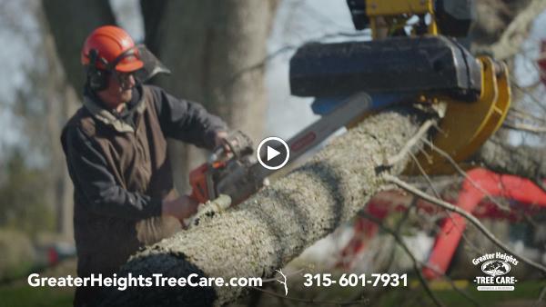 Greater Heights Tree Care