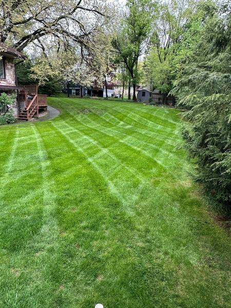 Schuster's Landscaping