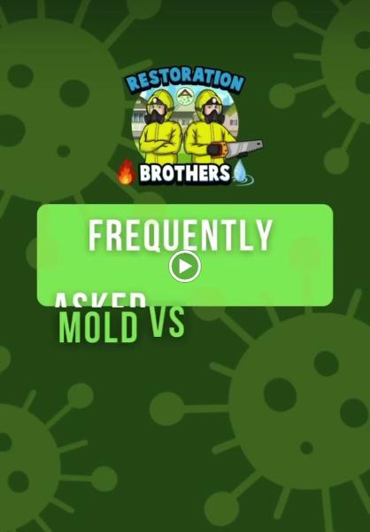 Restoration Brothers
