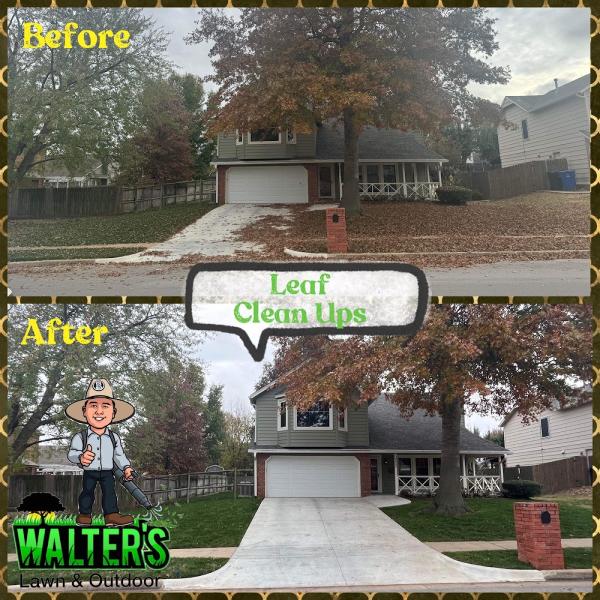 Walter's Lawn & Outdoor