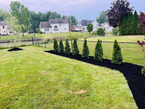 CSA Landscaping & Plowing