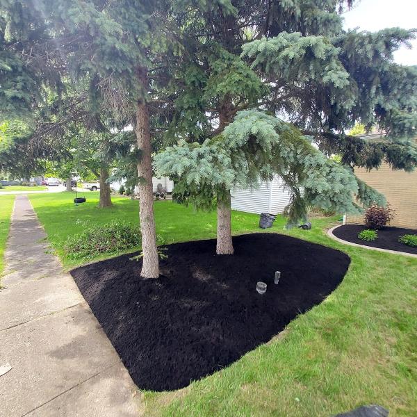 CSA Landscaping & Plowing